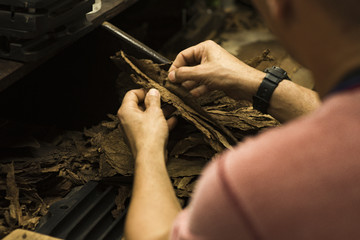 Hand Made Cuban Cigars