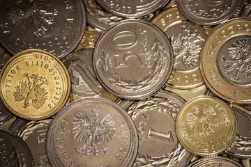 Polish coins money business background