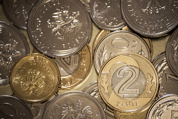 Polish coins money business background