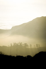 Shadows of Trees in the Mountains