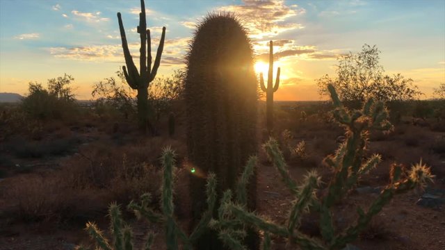 Desert sunset, Scottsdale, Arizona,USA