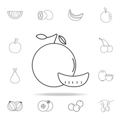 mandarin icon. Fruit icons universal set for web and mobile © rashadaliyev