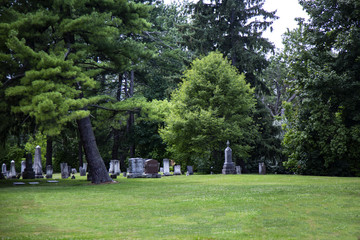 Cemetery with many trees