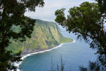 Waipio Valley on the Big Island of Hawaii. Framed through some tree branches at the overlook.