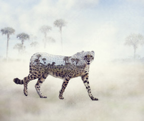 Double exposure of walking cheetah and trees