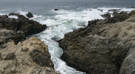 Fototapeta na wymiar Waves crashing in high surf on the N. California coast