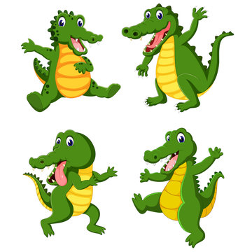 the collection of the big crocodilies in the different posing 
