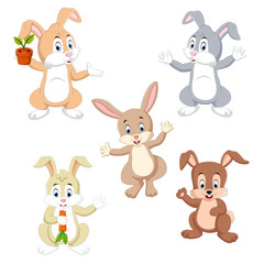 the collection of the rabbits in the different color and possing 
