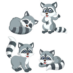 the collection of the grey racoon with different posing
