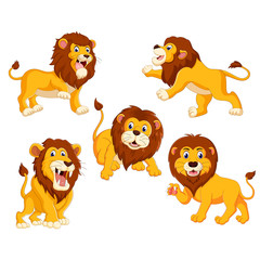 the collection of the lions with different posing
