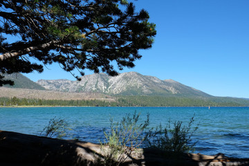 Lake Tahoe Beauty