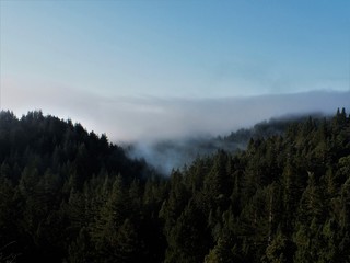 foggy morning in the mountains