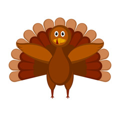 Isolated colored turkey icon