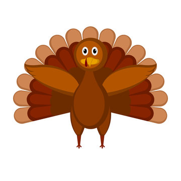 Isolated colored turkey icon