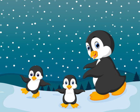 the winter season with the small penguin and snow 
