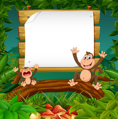 the nature forest view with the wooden board blank space and two happy monkey
