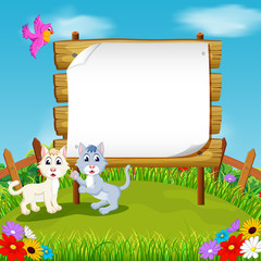 the nature view with the wooden board blank space and two little kitten near the flower
