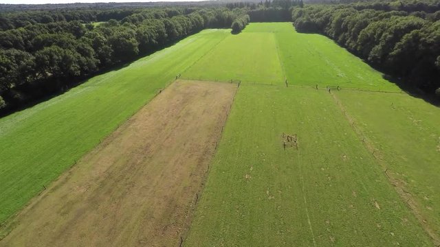 Aerial footage of green meadows in a forested area.