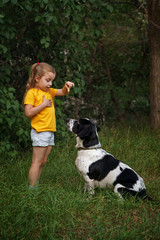 Little girl and mongrel dog outdoors. Child is trained to pet. Children and animals. Little cynologist.