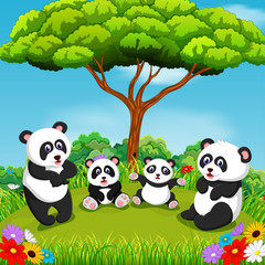 the beautiful view with some panda playing together under the tree 
