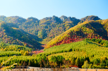 Naklejka na ściany i meble Trees are dressed in beautiful colors in Benxi of China.