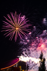 Stampede Fireworks