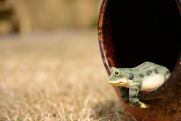 plastic frog coming out of a pot