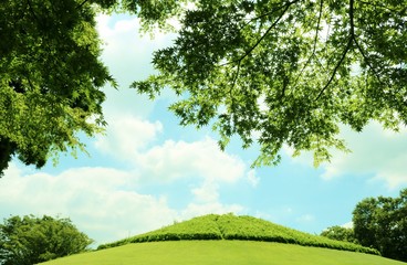 空　雲　丘　新緑　古河運動公園