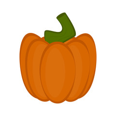 Colored halloween pumpkin icon