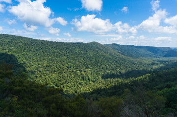 Panoramic view of green tropical forest and hills on sunny day