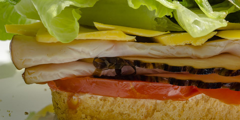 Close range and partial view of a deli sandwich