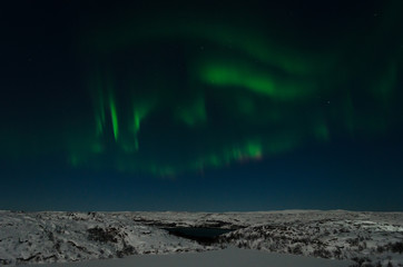 Fototapeta na wymiar Aurora, Northern lights in the tundra in winter in the sky.