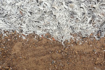 wood ashes on ground