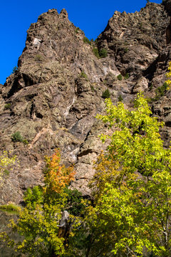 Colorful autumn foliage and rocky cliffs above the Gunnison River in Black Canyon of the Gunnison National Park in Colorado
