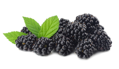 blackberries with green leaf isolated on white background. macro