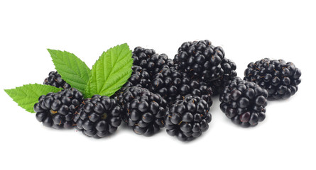 blackberries with green leaf isolated on white background. macro