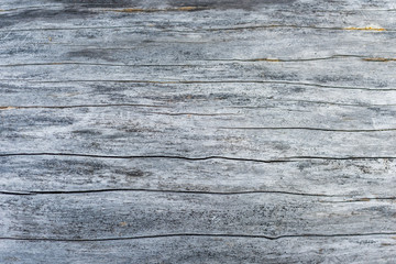 wooden surface texture