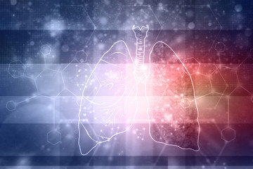 Healthy Human Lungs 2d illustration