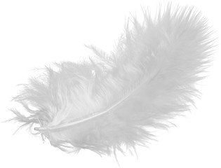 White Feather, Isolated