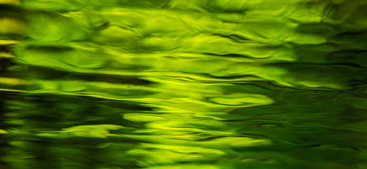 Beautiful, abstract green foliage reflection in a mountain lake