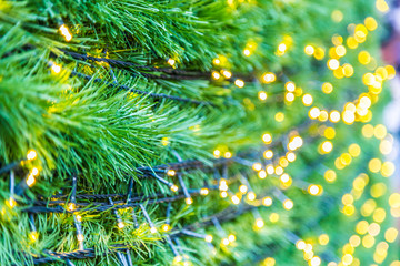 Green christmas tree bokeh