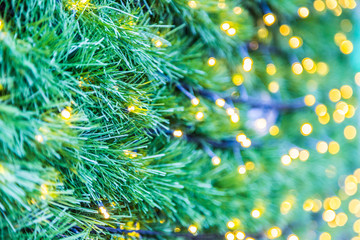Fototapeta na wymiar Green christmas tree bokeh