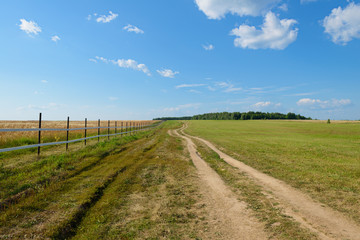 Fototapeta na wymiar dirt road in a green field along a fence on a summer sunny day