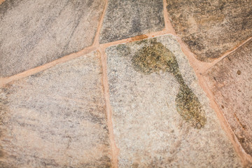 Wet footprint on floor,Wet footprints on the floor after taking a shower outdoors or swimming pool