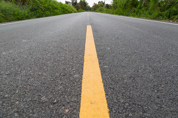 The yellow line on the road with tree and sky