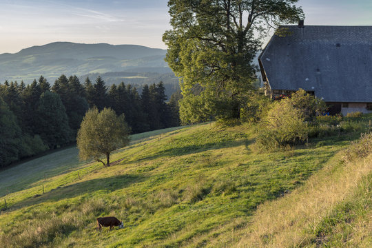 Bauernhof bei Breitnau im Schwarzwald