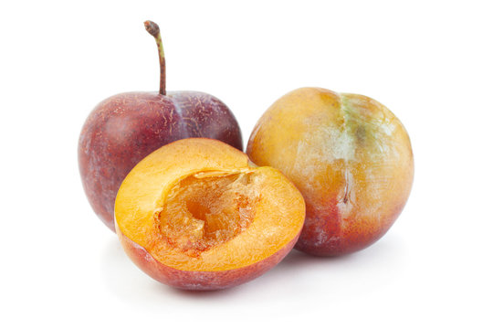 Brown plum fruit closeup