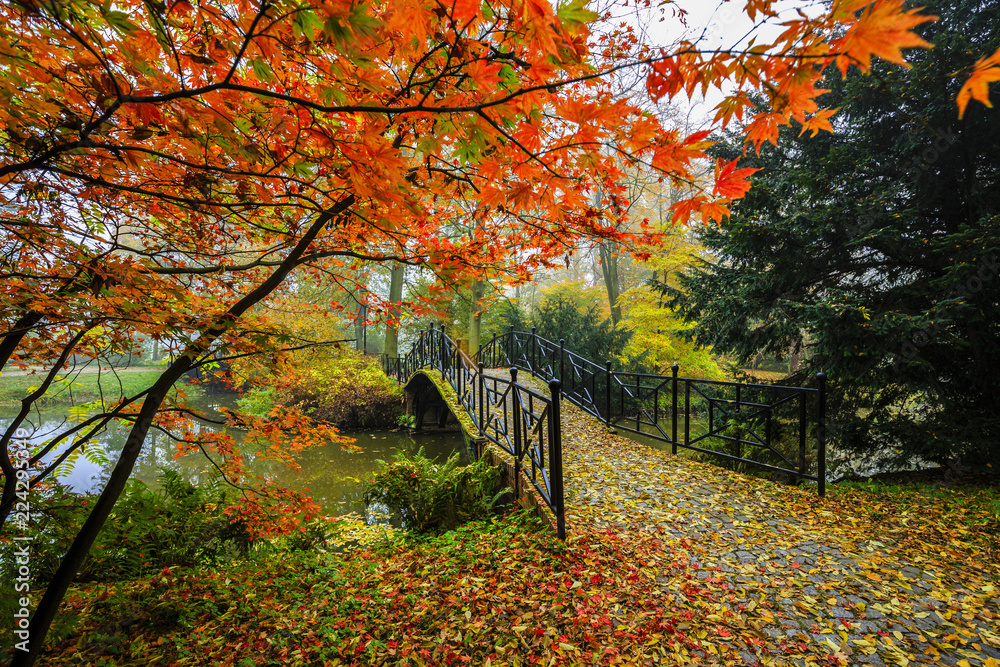 Poster scenic view of misty autumn landscape with beautiful old bridge in the garden with red maple foliage