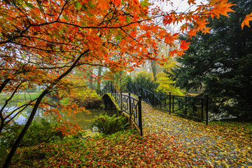 Scenic view of misty autumn landscape with beautiful old bridge in the garden with red maple foliage.
