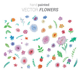 Hand Painted Watercolor Vector Flowers